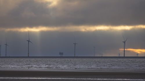 renewable energy