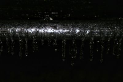 Close-up of water drops on illuminated rainy season