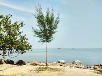 Scenic view of sea against sky