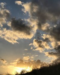 Low angle view of trees against sky at sunset