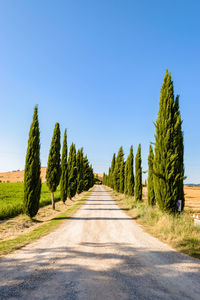 Road amidst trees against sky