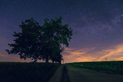 Trees on field against sky at night