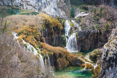 Scenic view of waterfall in forest