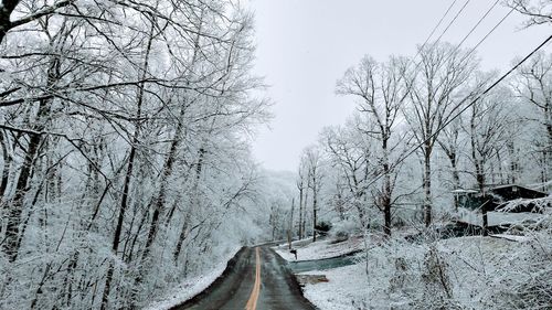 Snow covered road amidst bare trees against sky