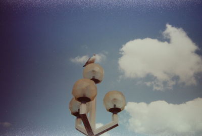 Close-up of jellyfish against sky