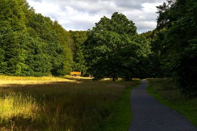 Road amidst trees against sky