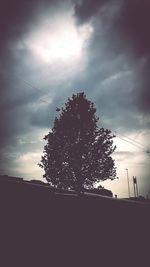 Silhouette tree against sky