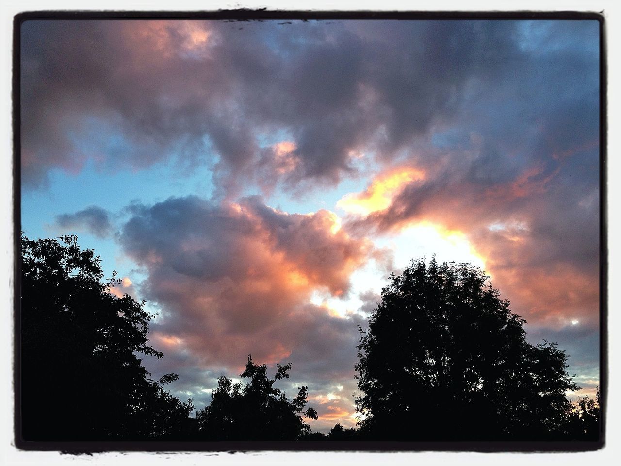 sky, silhouette, tree, transfer print, low angle view, cloud - sky, cloudy, auto post production filter, beauty in nature, scenics, sunset, overcast, nature, tranquility, cloud, weather, dusk, dramatic sky, tranquil scene, outdoors