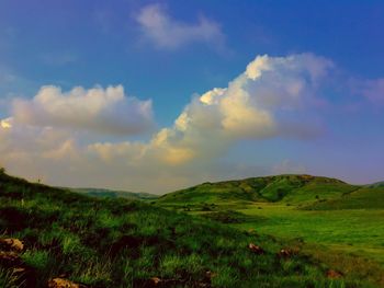 Scenic view of field against sky