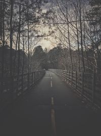 Road amidst trees in forest against sky