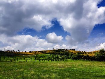 Scenic view of grassy field against cloudy sky