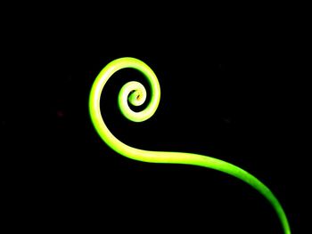 Close-up of light bulb against black background