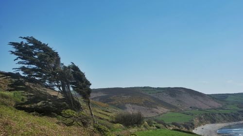 Scenic view of landscape against clear blue sky
