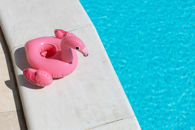 Inflatable pink flamingo near swimming pool on bright sunny day, copy space. concept summer vacation