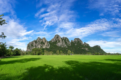 Beautiful mountain on blue sky background , rice fields foreground  , north of thailand