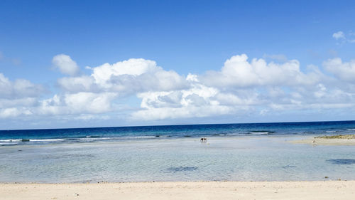 Scenic view of beach against sky