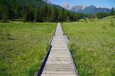 Dirt road leading towards green field