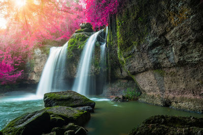 Scenic view of waterfall in forest