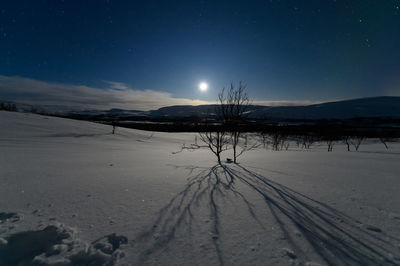 Northern lights from north tromso and close to the border with finland