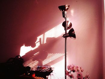 Low angle view of illuminated flowers