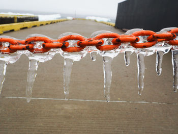 Close-up of frozen hanging over water