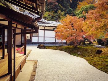 View of trees in autumn