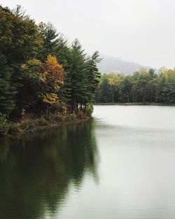 Scenic view of lake in forest against sky