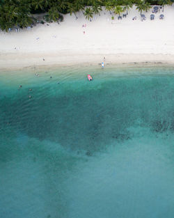 High angle view of person swimming in sea