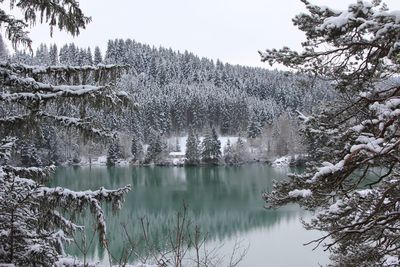 Scenic view of snow covered mountain