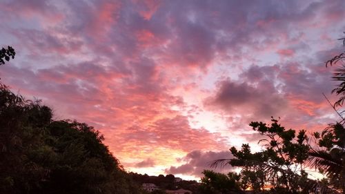 Low angle view of silhouette trees against sky at sunset