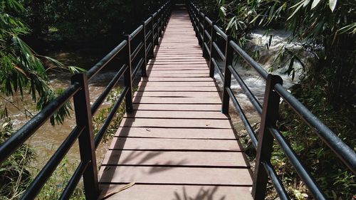 View of footbridge in forest