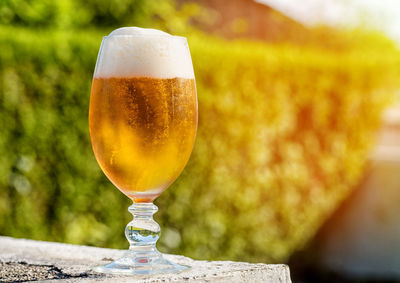 Close-up of beer glass on table