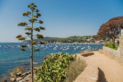 Scenic view of sea against clear blue sky