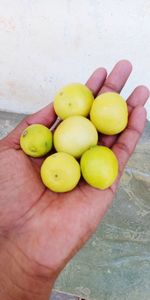 High angle view of hand holding fruits