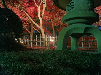Illuminated tree in park at night