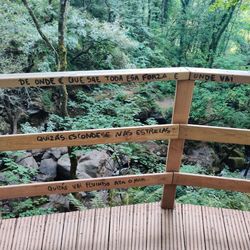 High angle view of text on wooden bridge in forest