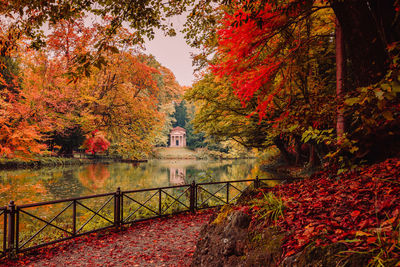 Trees by plants during autumn