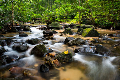 Stream flowing through rocks in forest