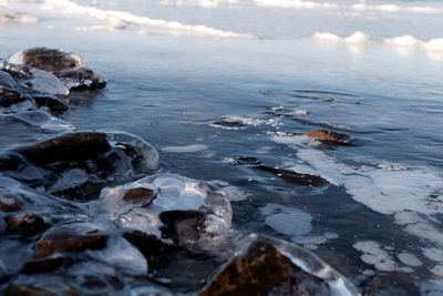 Surface level of frozen sea shore