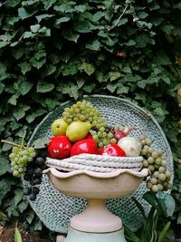 Close-up of apples and fruits