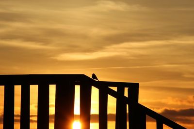 Low angle view of silhouette bird perching on railing against sky