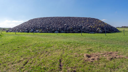 Scenic view of farm against sky