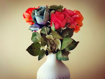 Close-up of roses in vase against white background