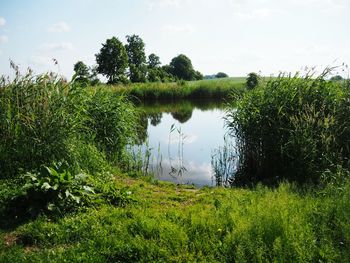 Scenic view of lake against sky