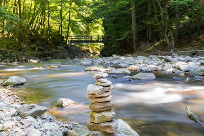 Scenic view of rocks in forest