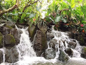 Scenic view of waterfall