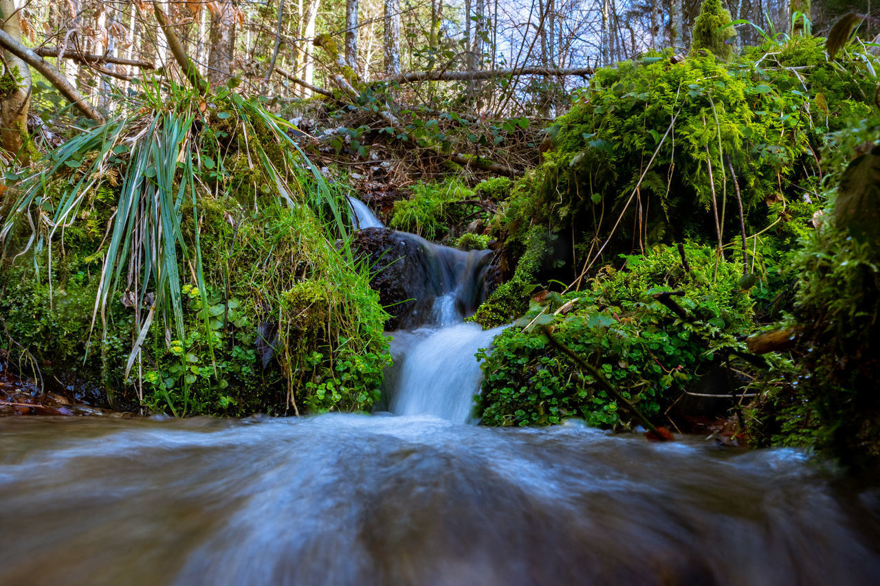 SCENIC VIEW OF WATERFALL