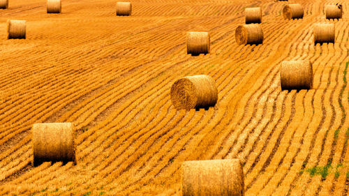 Hay bales on field