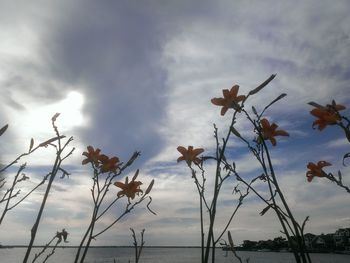 Scenic view of landscape against cloudy sky