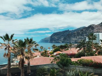 Palm trees by sea against sky